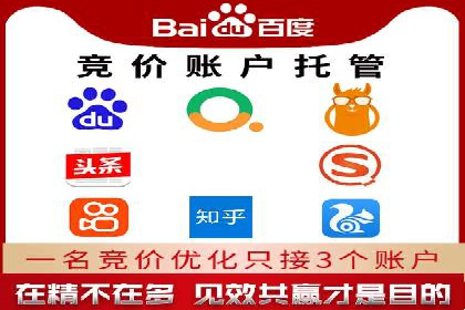 搜索引擎营销（SEM）公司某某的客户成功故事